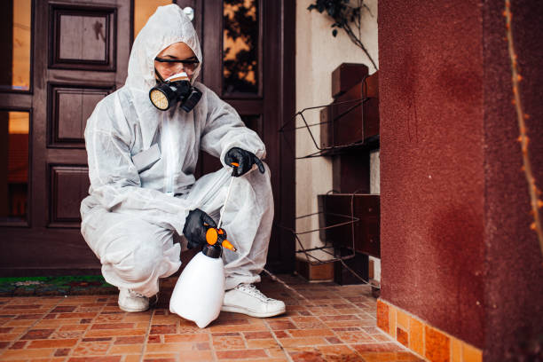 Reliable Wasp Removal contractor in Fort Belknap Agency, MT by Show Me Pest Control